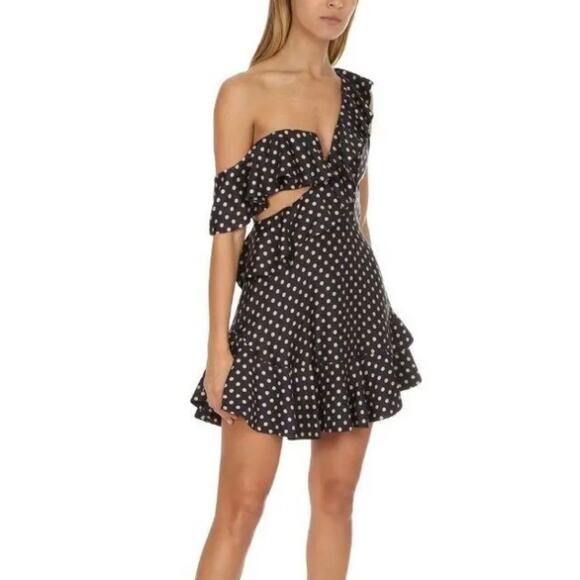 NWT New Zimmermann Rife Flounce Polka Dot Dress Size 3(10) - Picture 4 of 13